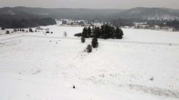 Snowy day in a rural valley with covered fields, small group of trees and mountains in background