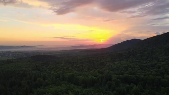 Aerial View of Green Pine Forest with Dark Spruce Trees Covering Mountain Hills at Sunset