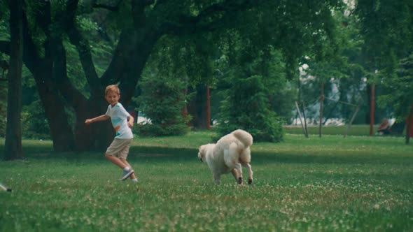 Playful Dog Chasing Little Boy Play Together Water Sprinklers in Summer Park