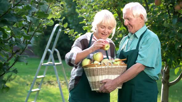 Elderly Couple Holding Apple Basket.