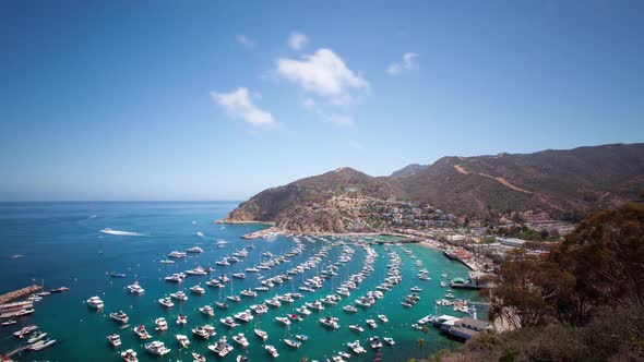 Bay and Town of Avalon on Catalina Island