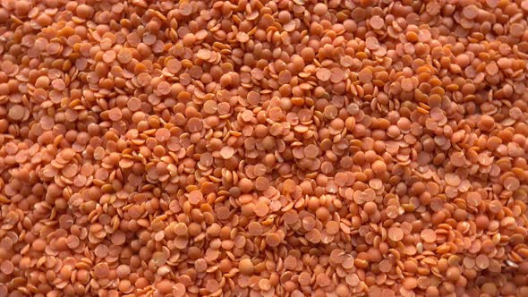 Lentil Background