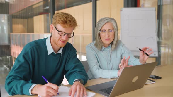 Mature Mentor Teaching Intern Explaining Online Job Using Laptop in Office