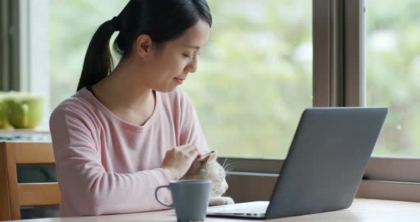 Woman work on computer and touch the window with the cat outside