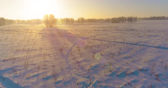 Aerial Drone View of Cold Winter Landscape with Arctic Field, Trees Covered with Frost Snow