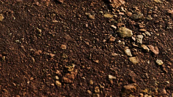Closeup of Dirty Ground Road