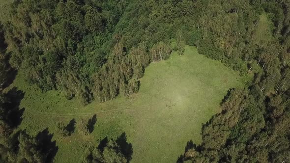 Forest Aerial View V3