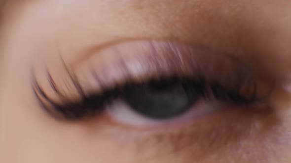 Female Macro Woman Eye with Long Eyelashes Close Up Hollywood Length Beauty Salon