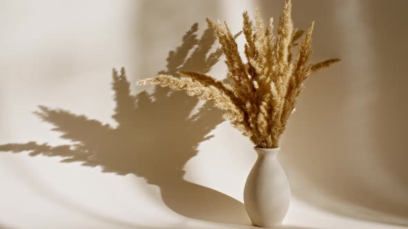 Golden Dried Flowers are in a Vase