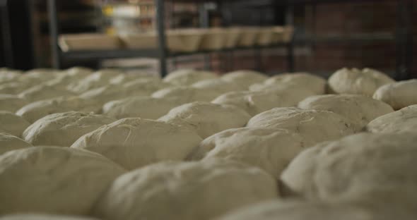 Animation of bread prepared for baking at bakery