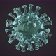 The virus Coronavirus (COVID-19) medical animation. - VideoHive Item for Sale