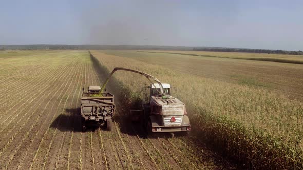 Combine and Tractor Drive Slowly Across Field. Aerial Shot of Modern Harvester Loading Off Herbal