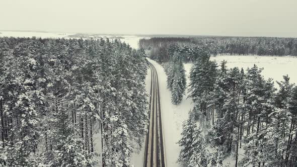 Beautiful Winter Landscape with a Forest and a Country Road Aerial View