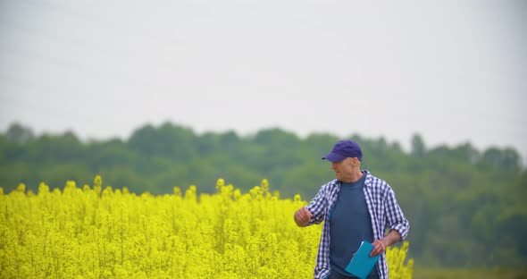 Farmer Examining Agriculture Field on Farm