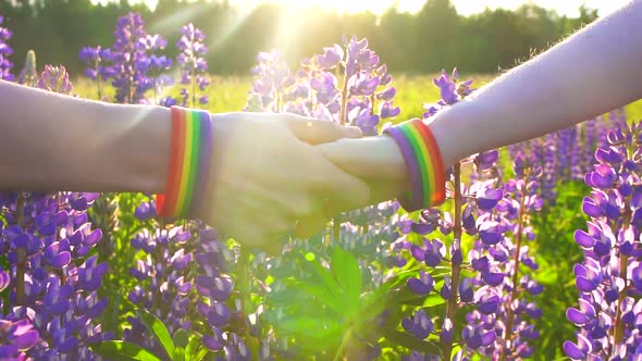 LGBT Concept Two Hands Holding Each Other Are on the Field at Sunset
