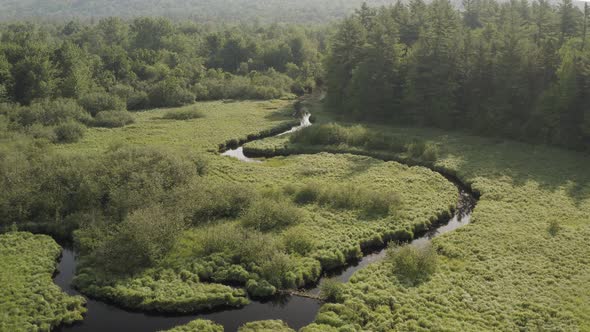 River meandering through mangrove towards dense forestry Aerial 4k