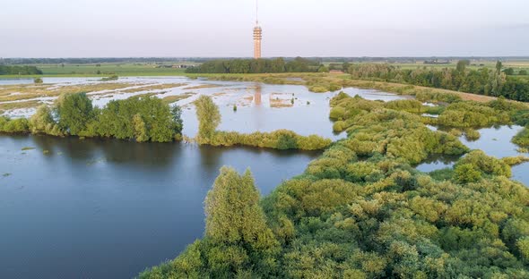 Aerial view of flooded floodplains of river Maas with trees, Megen, Netherlands.