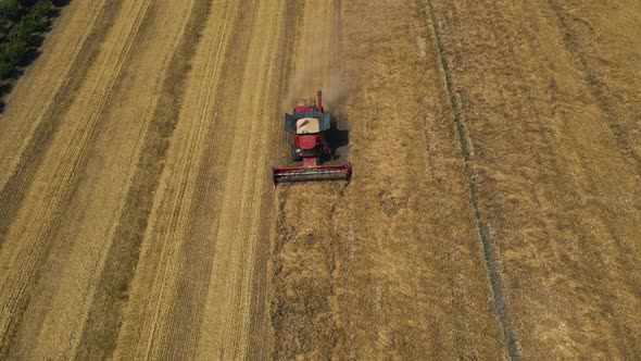 Slow Motion Aerial View of Combine Harvester Agriculture Machine Harvesting Golden Ripe Wheat