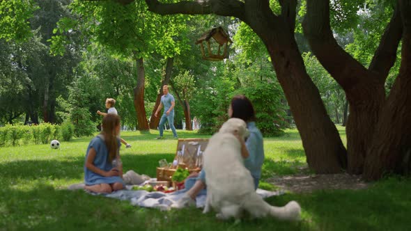 Active Family Leisure on Picnic in Park