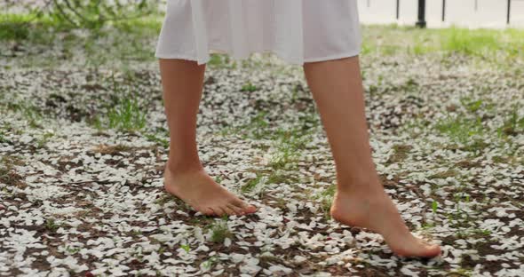 Bare Feet Walk on White Petals