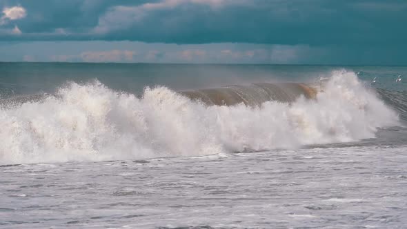 Storm on the Sea. Huge Waves Are Crashing and Spraying on the Shore