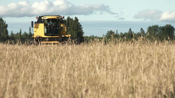 Harvester Combine Working on Field