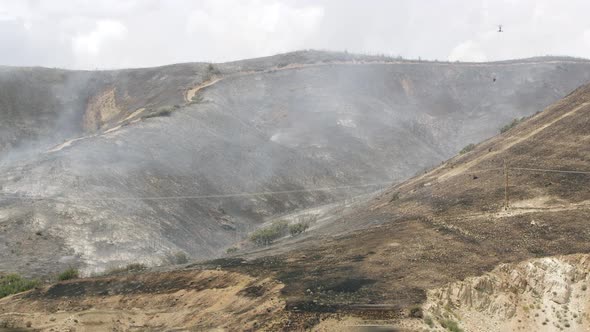 View of scorched landscape after wildfire