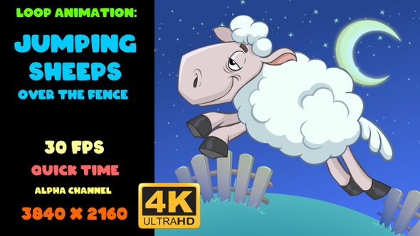 Sheep Jumping Over Fence  alt