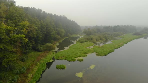 Mysterious, Foggy Morning Time in a Swampy Area