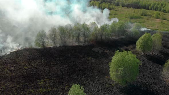 Forest Fire in Russia in the Spring