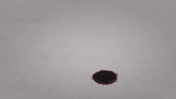 Drop of Blood Fall on White Paper in Macro