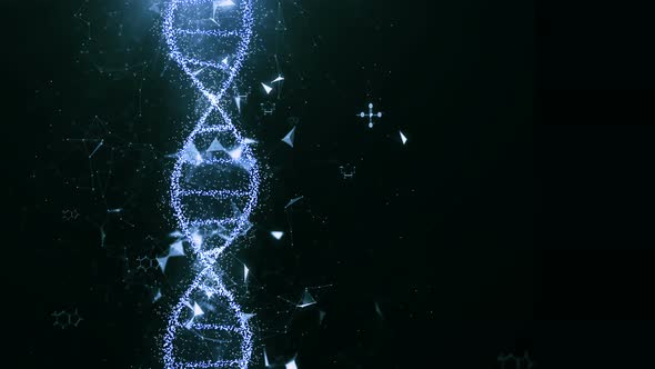 Dna