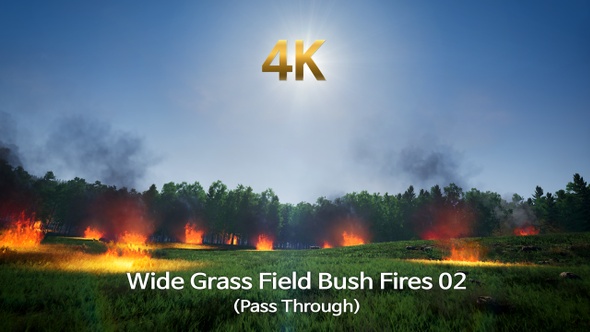 Wide Grass Field Bush Fires 02 (Pass Through)