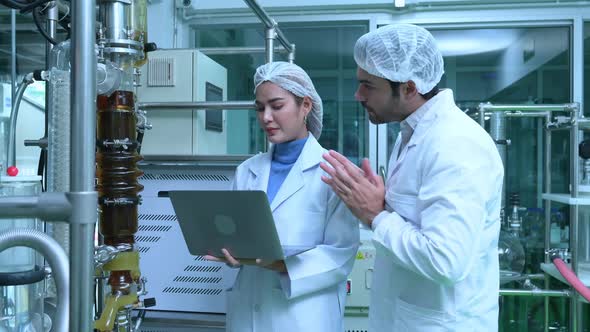 Scientists and assistants are in the machine room extracting oil and cannabis seeds.