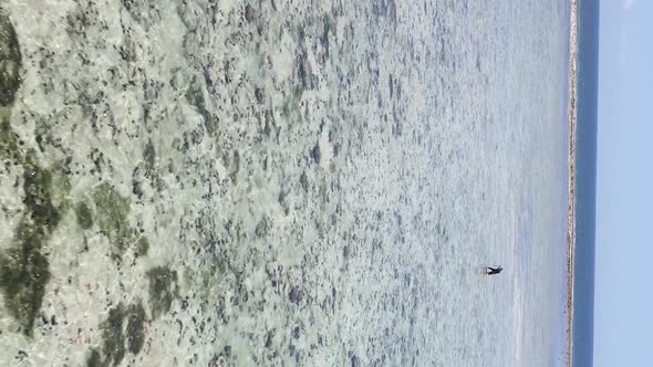 Vertical Video of a Coastal Landscape in Zanzibar Tanzania Aerial View