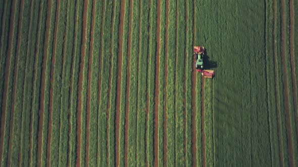 Farming and ploughing fields in spring with tractor. Top down aerial drone view