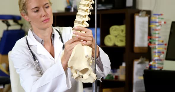 Physiotherapist looking at spine model