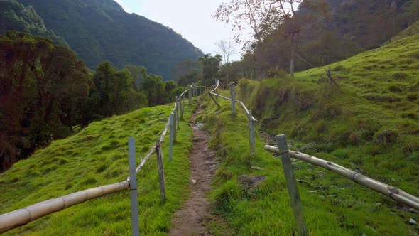 POV shot of grass pathway along the slope of lush green vegetation covering the mountain range durin