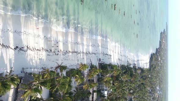 Vertical Video of the Ocean Near the Coast of Zanzibar Tanzania Aerial View