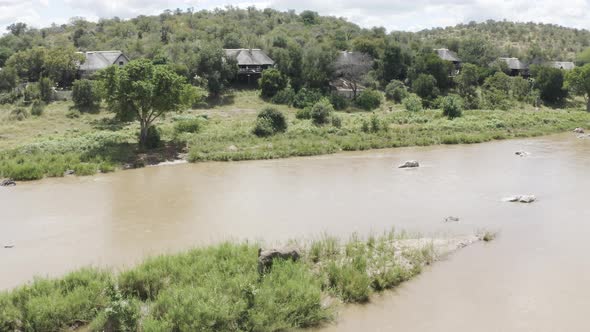 Aerial View of Elephant walking by the river in the savana, Balule Reserve.