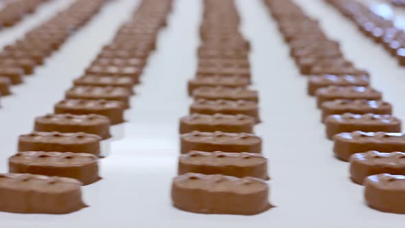 Conveyor with Passing Chocolate Bars