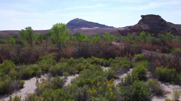 Flying through the desert over colorful foliage in Utah