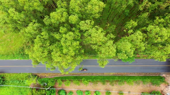 Rural road near farming landscape. Countryside rural scenery.