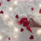 Hand delivering valentines day gift - VideoHive Item for Sale