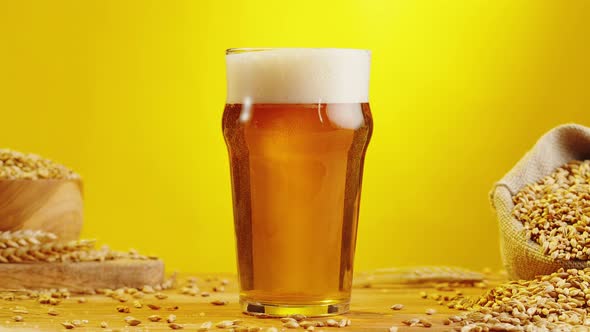 Foamy Beer in Glass Closeup