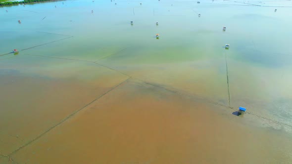 An aerial view from a drone flying over the coastal mangrove forests