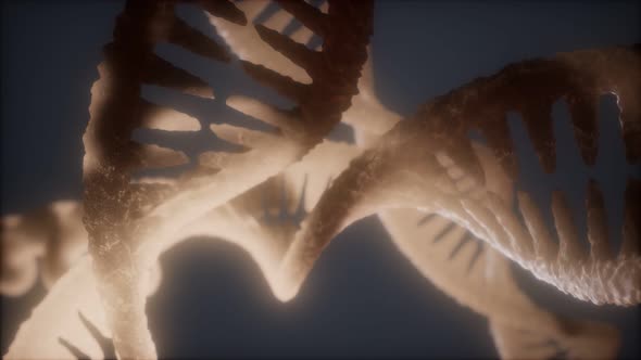 Loop Double Helical Structure of Dna Strand Close-up Animation alt