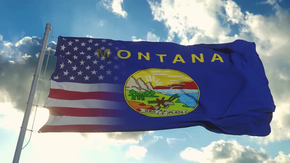 Flag of USA and Montana State