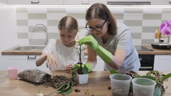 Mother with Daughter Child Planting Orchid Flowers