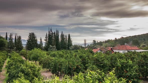 Countryside Life Garden House Cypresses Sea View